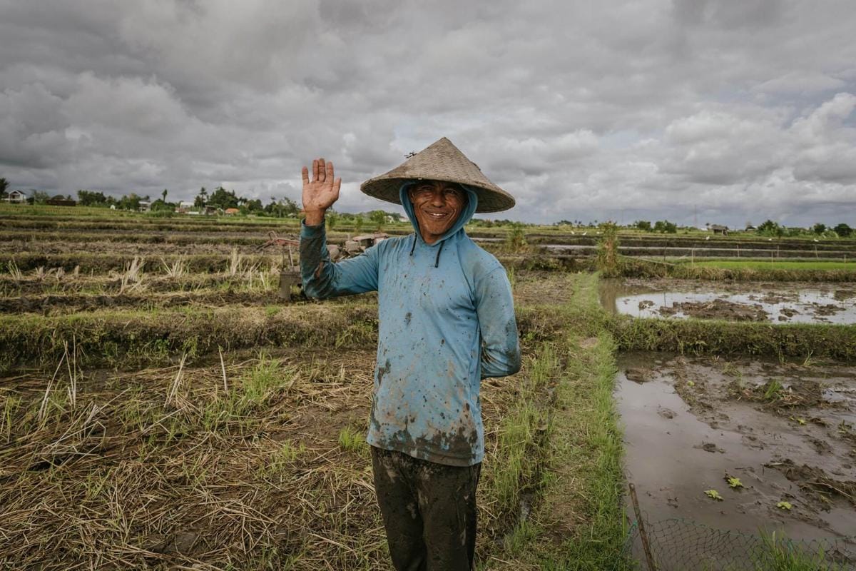 Rp551 Trillion in Food Wasted Amid Self-Sufficiency Claims